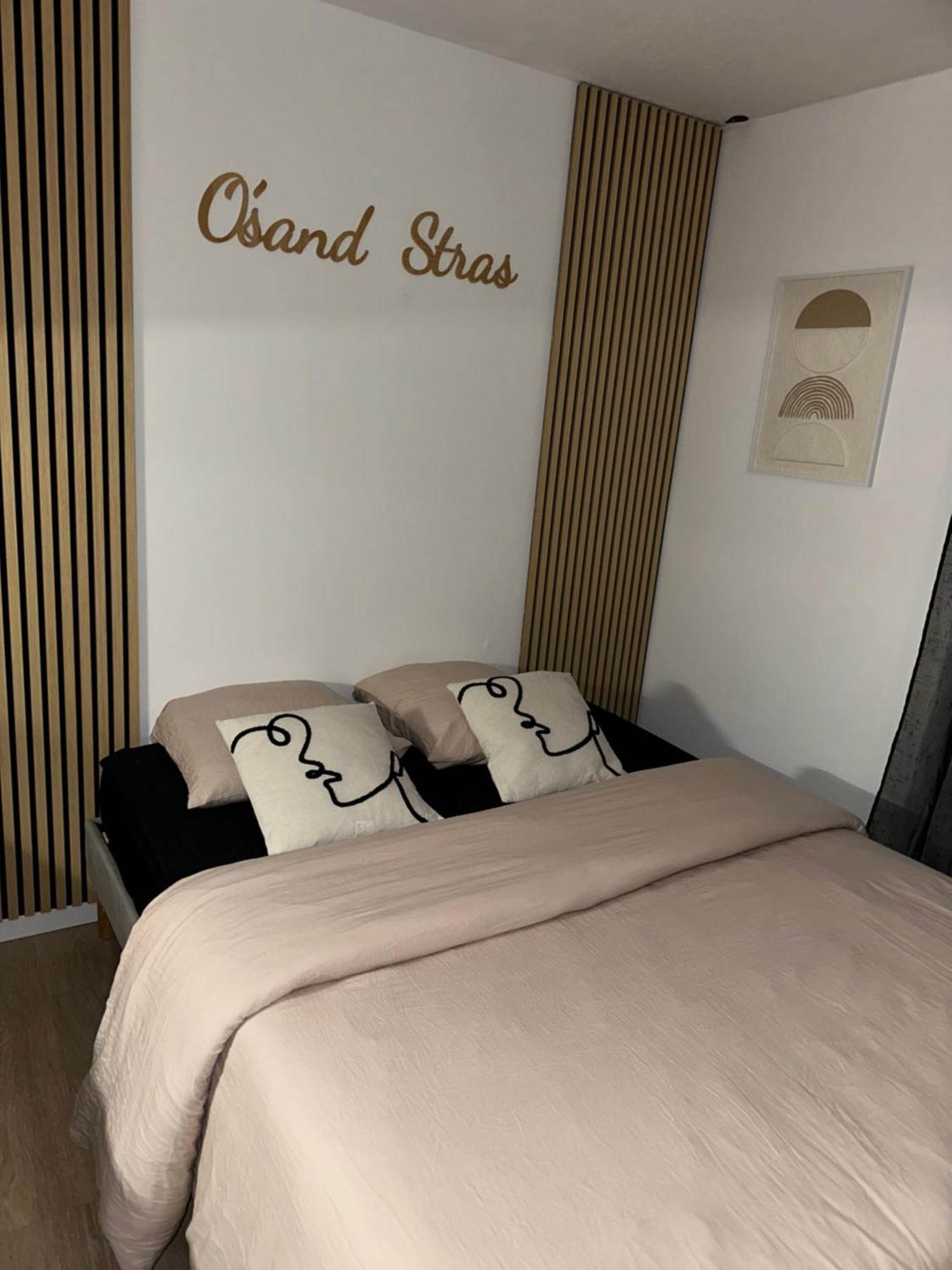 O Sand Stras Studio 25M Carre Strasbourg Kültér fotó