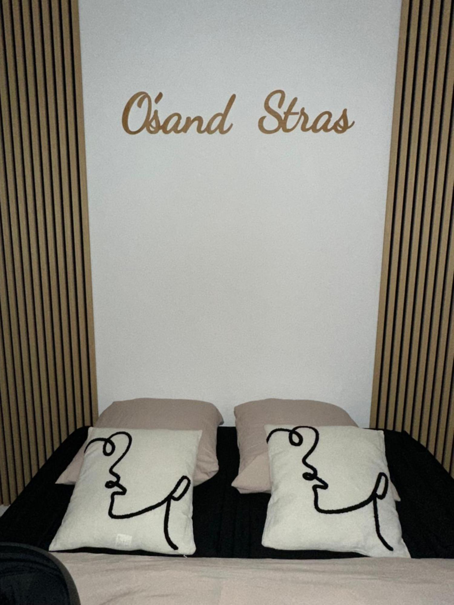 O Sand Stras Studio 25M Carre Strasbourg Kültér fotó